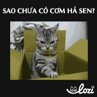 #bu GIF by Lozi Singapore Co.