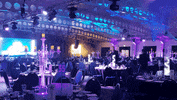 sleepinggiant seo award sgm sleeping giant media GIF