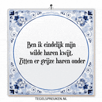 Humor Wijsheid GIF by Tegelspreuken.nl