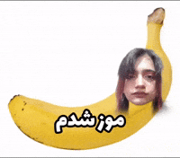 Moz GIF