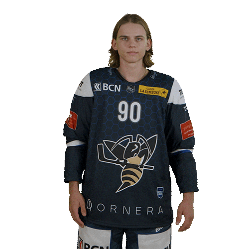 hcclachauxdefonds giphyupload hockey 90 damian Sticker