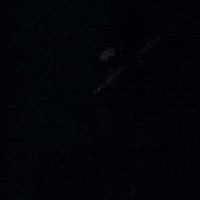 Playboi Carti Halloween GIF by Respective