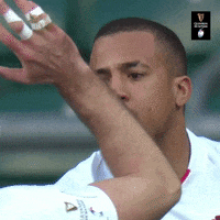 English Rugby GIF by Guinness Six Nations