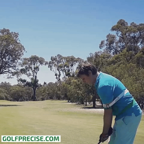 golf golfing GIF