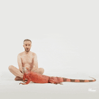 Fun Lol GIF by ZDF Magazin Royale