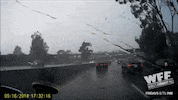 world's fails GIF by World’s Funniest