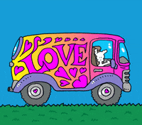 GIF by Chippy the dog