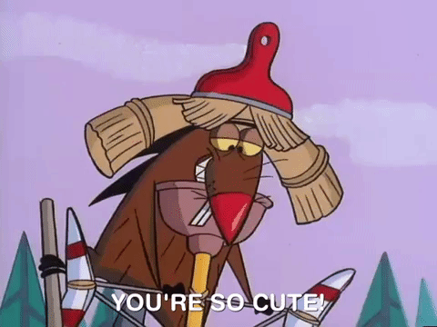 nickrewind giphydvr nicksplat angry beavers giphyab017 GIF