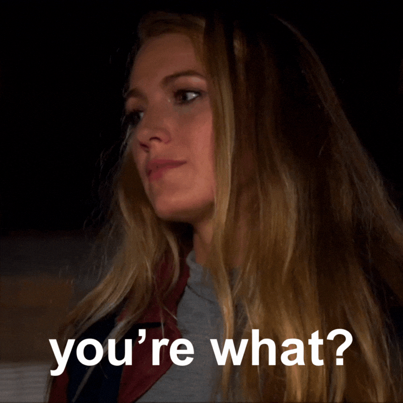 Excuse Me What GIF by Blake Lively Fan