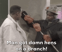 Season 3 Martin Tv Show GIF by Martin