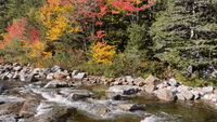 Picturesque Fall Scene Captured in New Hampshire Mountains