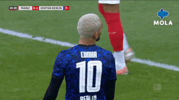 Premier League Football GIF by MolaTV