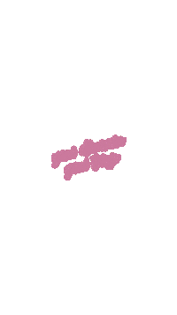 Bts Sticker by Penti
