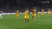 Soccer Futbol GIF by Brighton & Hove Albion Football Club