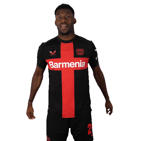 Bayer 04 Love Sticker by Bayer 04 Leverkusen