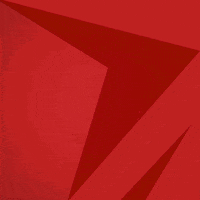 Celebration Rugby GIF by Jersey Reds