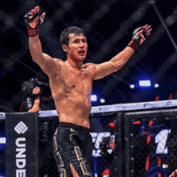 Octagon GIF