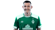 football no Sticker by SV Werder Bremen