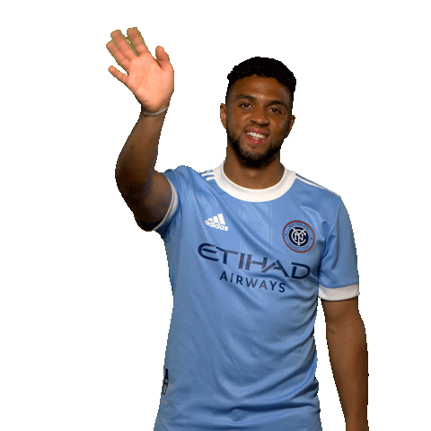 New York City Fc Reaction Sticker by NYCFC