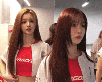 Taiwan GIF