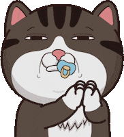 Cat Agree GIF by VITA VITA ‧ 塔仔不正經