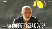 canale 5 isola14 GIF by Isola dei Famosi