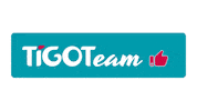 Team Brand Sticker by Tigotà