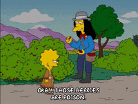lisa simpson GIF
