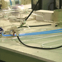 GIF by Good Morning America