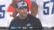 Detroit Lions Football GIF by NFL