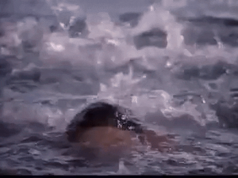 david chokachi swimming GIF