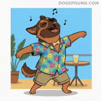 Happy Good Vibes GIF by Doge Pound