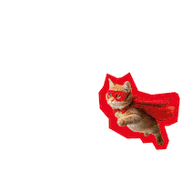 Cat Hero Sticker by Deutscher Gewerkschaftsbund (DGB)