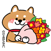 Flower Love Sticker by SHIBAINC