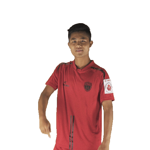 Indian Football Sticker by Indian Super League