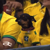 World Cup Brazil GIF by Respective
