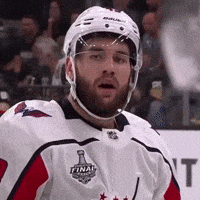 Ice Hockey Nhl GIF