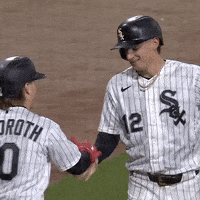 Celebrate White Sox GIF by MLB
