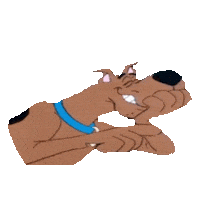 laugh STICKER by imoji