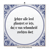 Humor Nl GIF by Tegelspreuken.nl