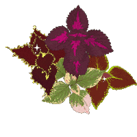 Flower Nn Sticker by Edberg