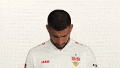 Look Up Vfb Stuttgart GIF by Bundesliga