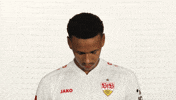 Look Up Vfb Stuttgart GIF by Bundesliga