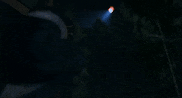 New Zealand Canada GIF by TIFF