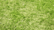 stop motion win GIF by Angry Birds