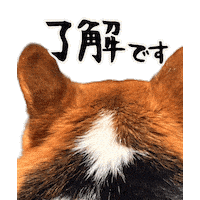 Corgi 了解 Sticker