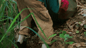 Idol Hunting GIF by Survivor CBS