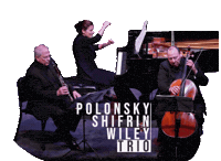 musicasolis classical music wiley musica solis polonsky Sticker