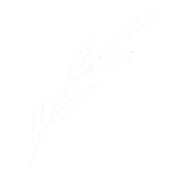 Leaves Sticker
