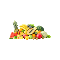 Food Festival Orange Sticker by Indio International Tamale Festival